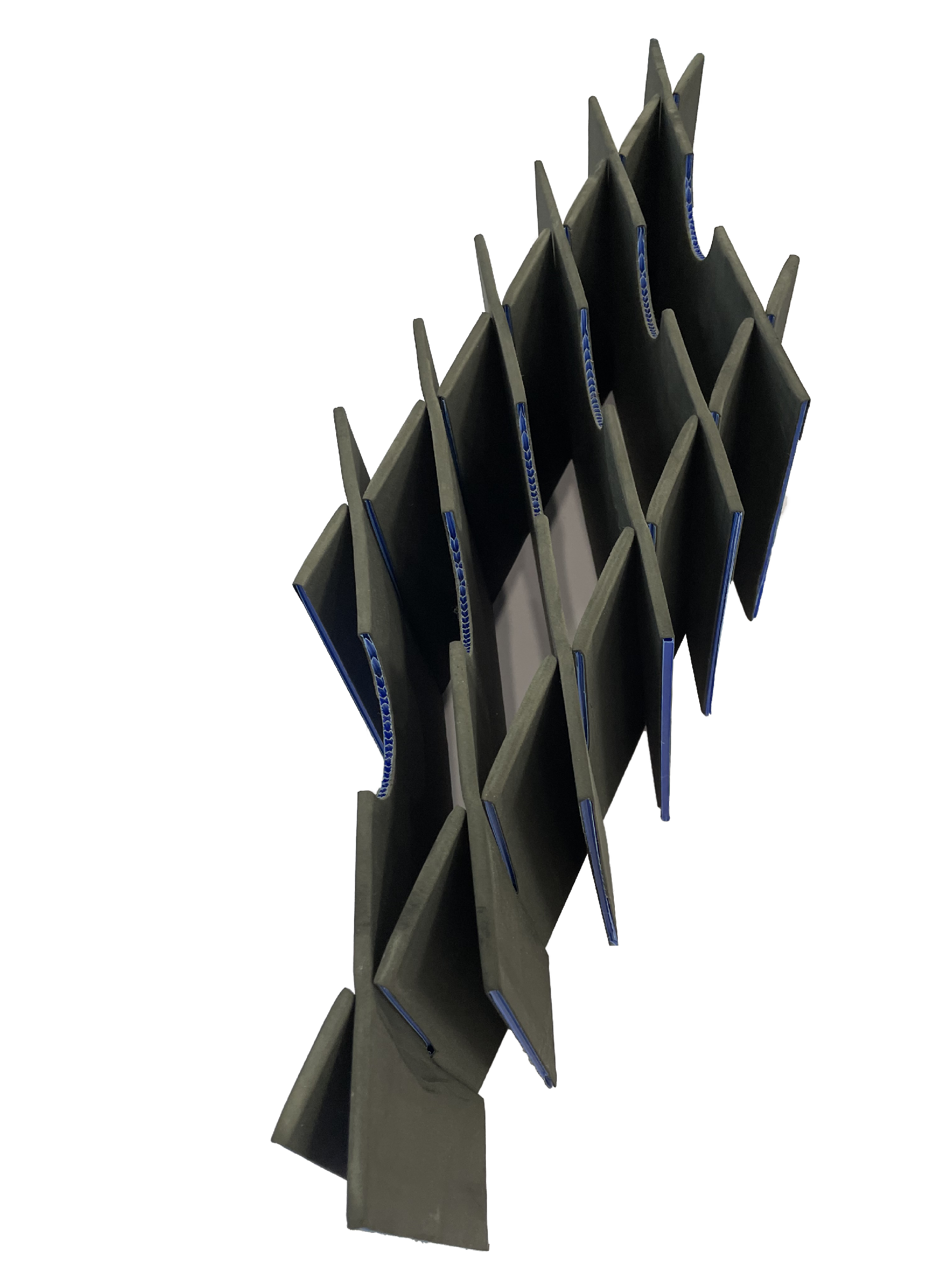 新拍照片IMG_9369.png